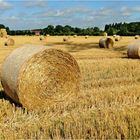 Stroh auf dem Feld, der Herbst bald Einzug hält.