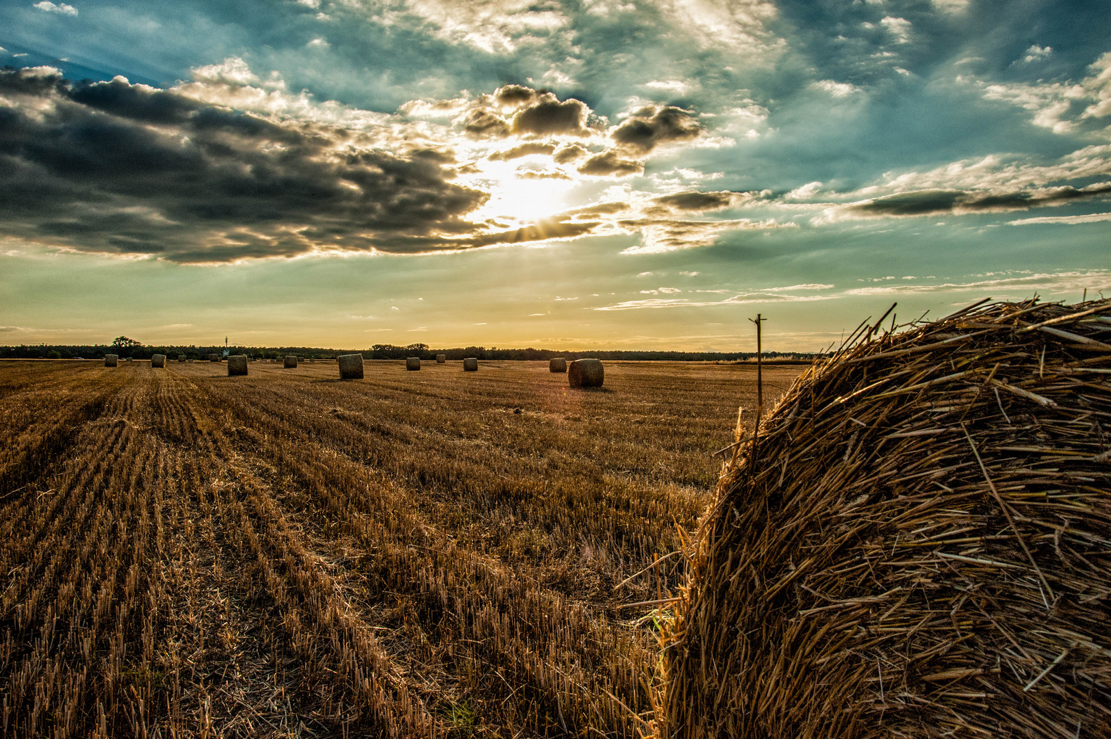 Stroh im Abendlicht