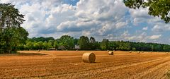 Stroh im Ballen