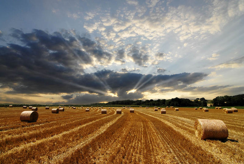 Stroh und Himmel