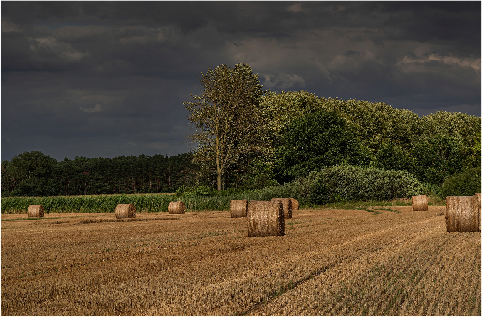 Stroh und Wolken