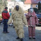 Strohbär (Winter) und Flecklasmo (Frühlingsbringer)