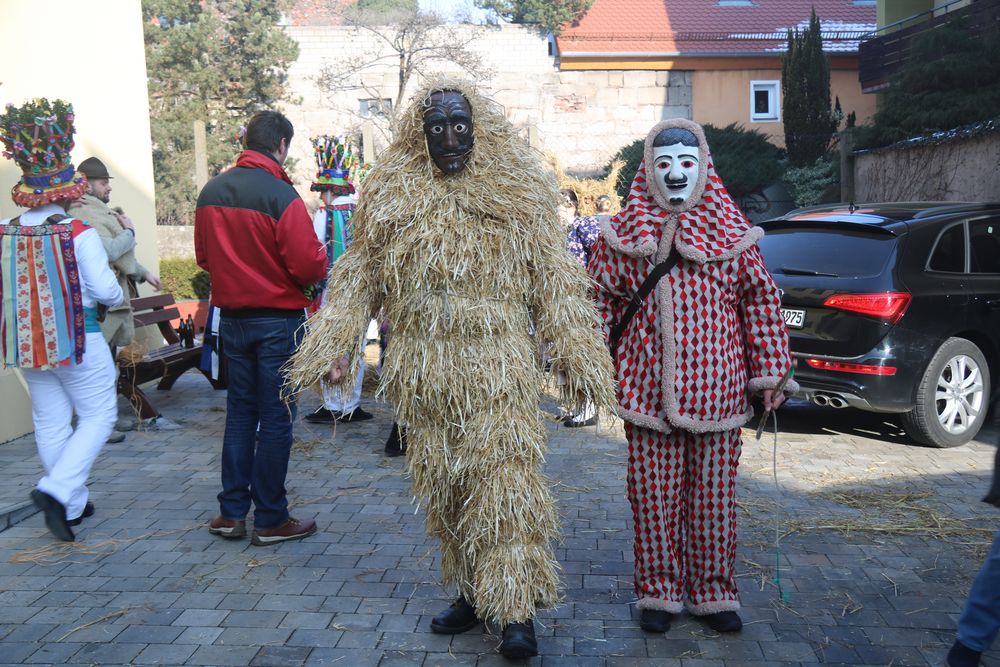 Strohbär (Winter) und Flecklasmo (Frühlingsbringer)