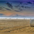  Strohballen 1 im Nebel