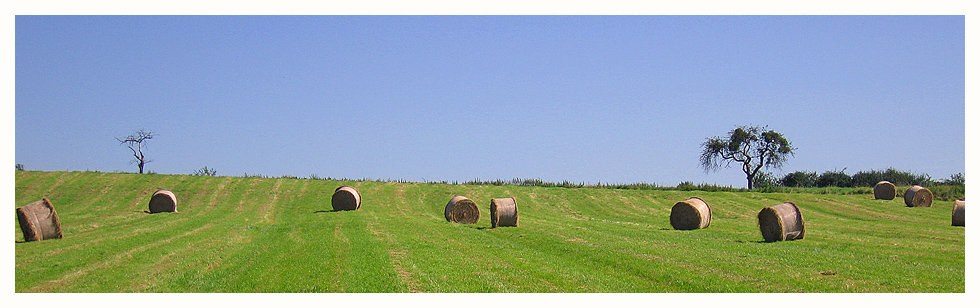 Strohballen 2007