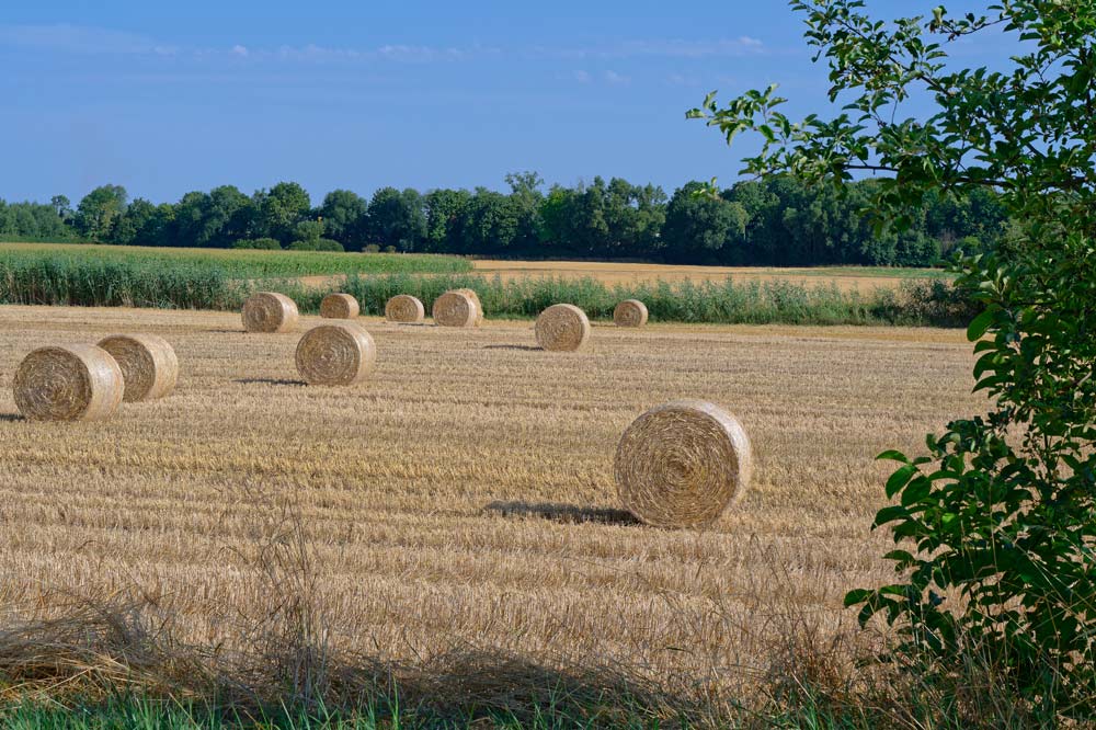 Strohballen