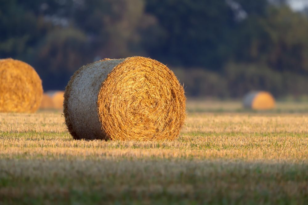 Strohballen