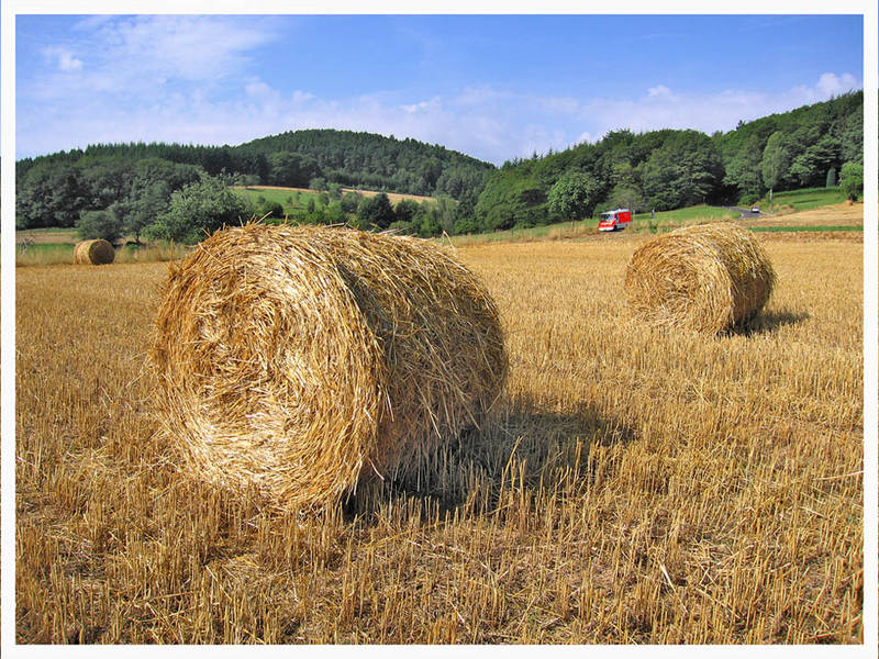 Strohballen