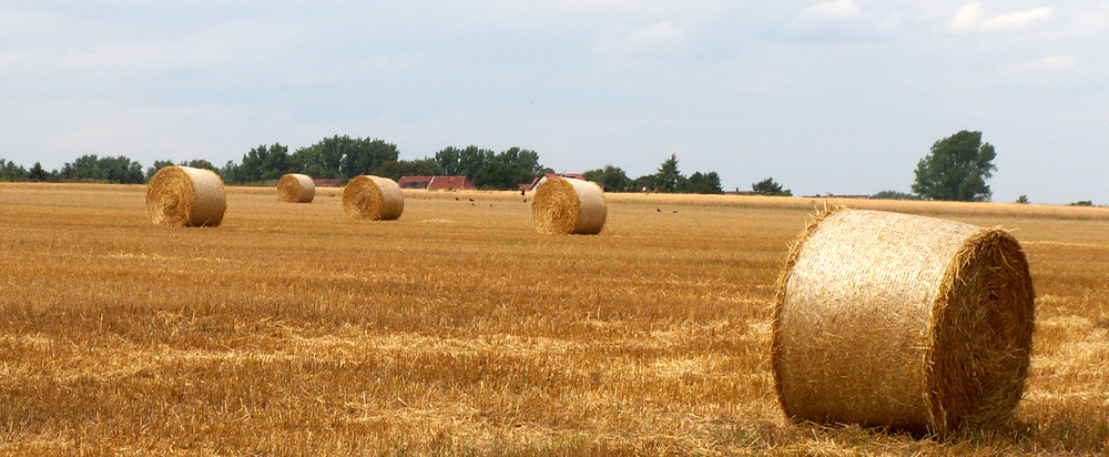 Strohballen