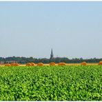 Strohballen am Horizont