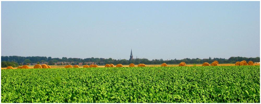 Strohballen am Horizont