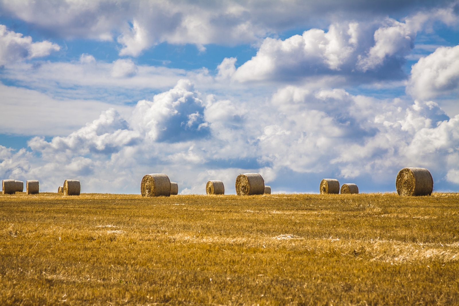 Strohballen an Horizont