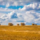 Strohballen an Horizont