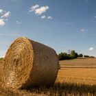 Strohballen auf dem Feld