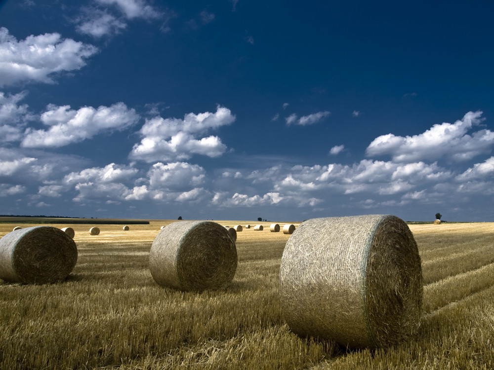 Strohballen auf der Alb