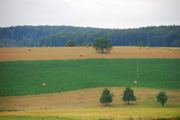 Strohballen auf der Flucht