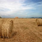 Strohballen auf Mallorca