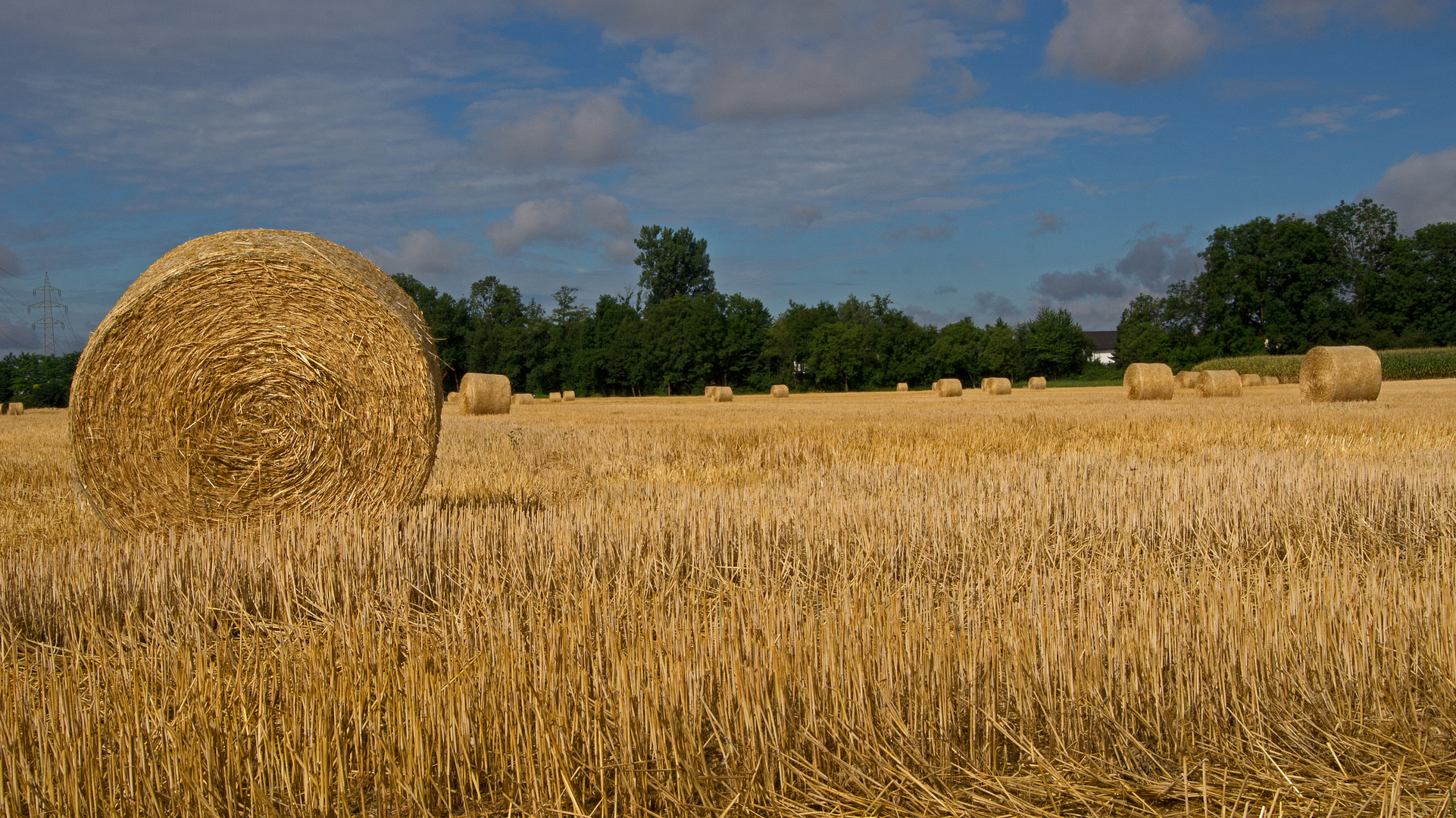 Strohballen