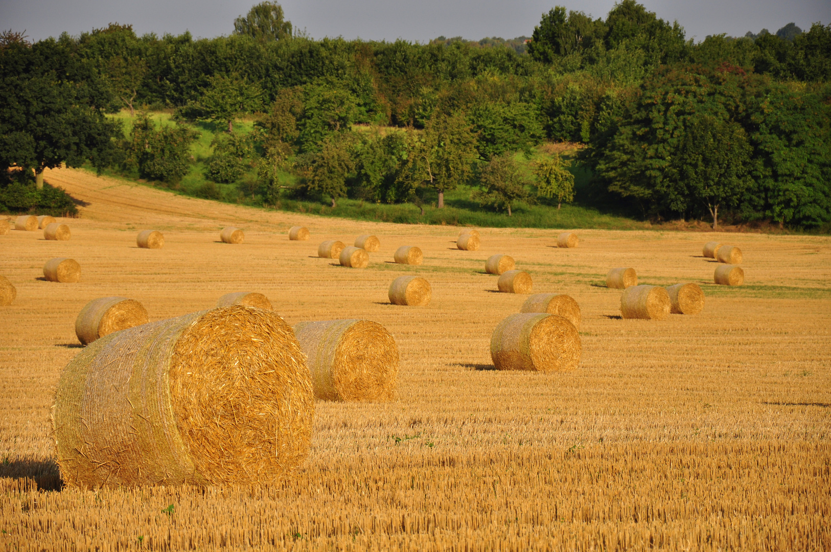 Strohballen