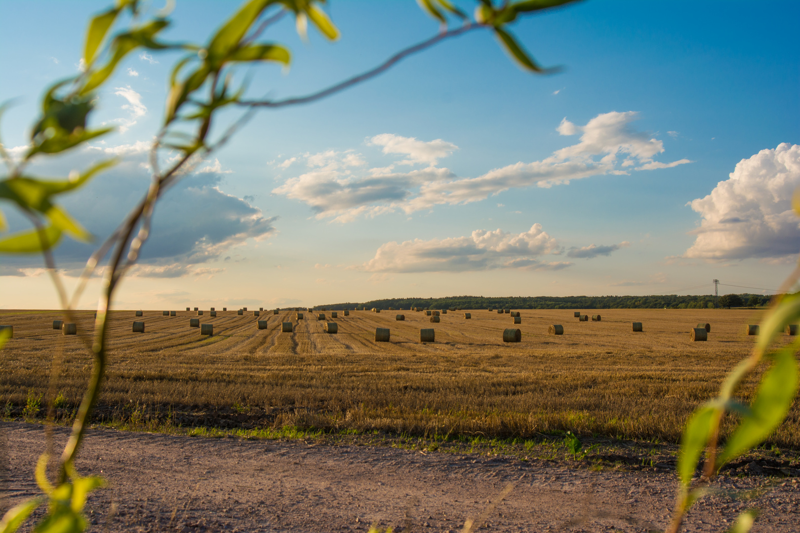 Strohballen Feld