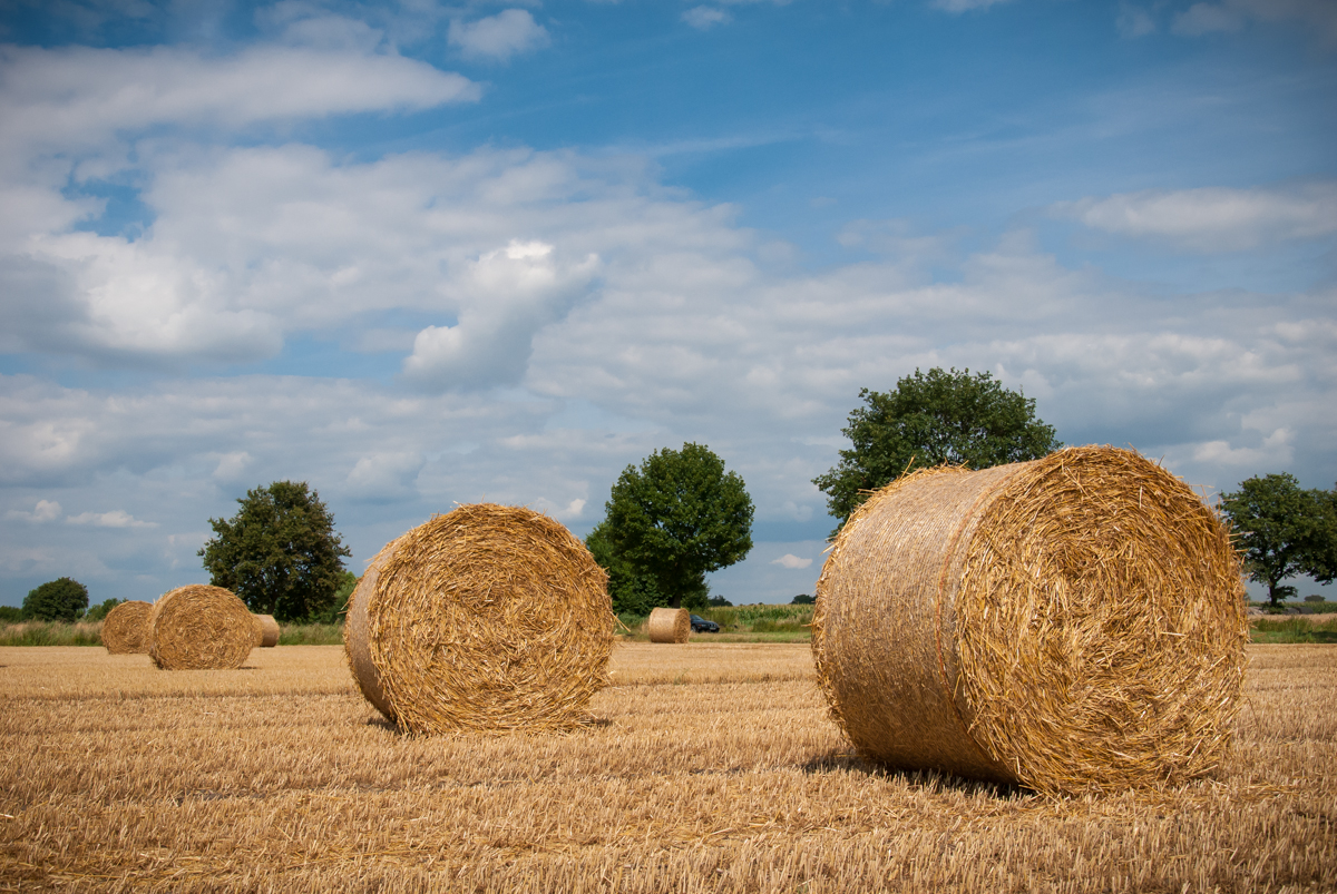 Strohballen-Feld