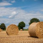 Strohballen-Feld