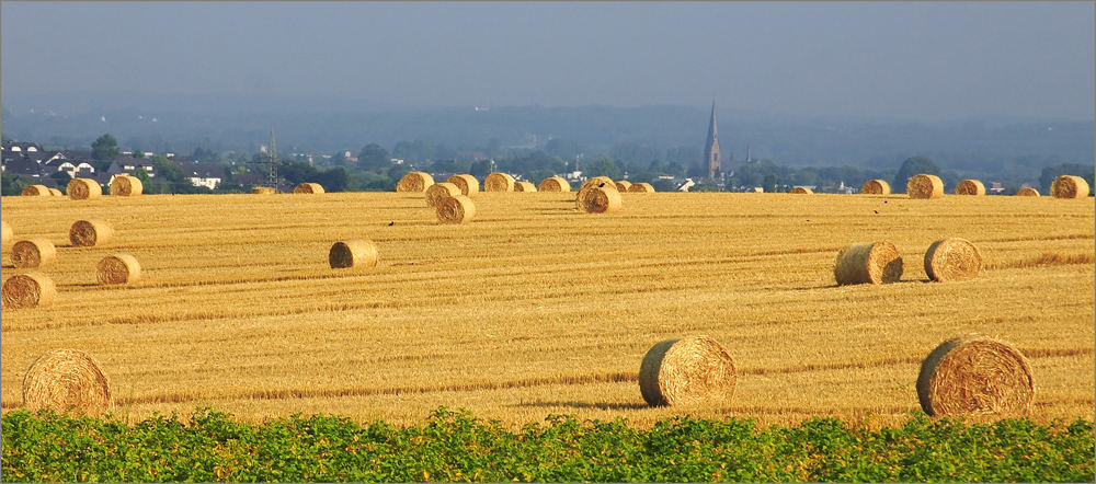 Strohballen I