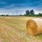 Strohballen im Abendlicht