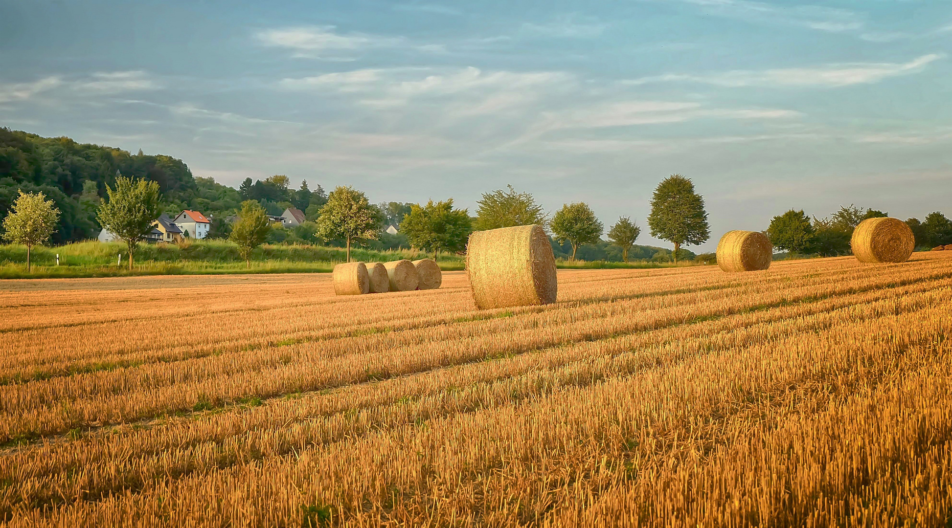 Strohballen im Abendlicht