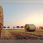 Strohballen im Abendlicht