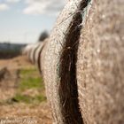 Strohballen im Frühling