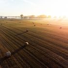 Strohballen im Gegenlicht