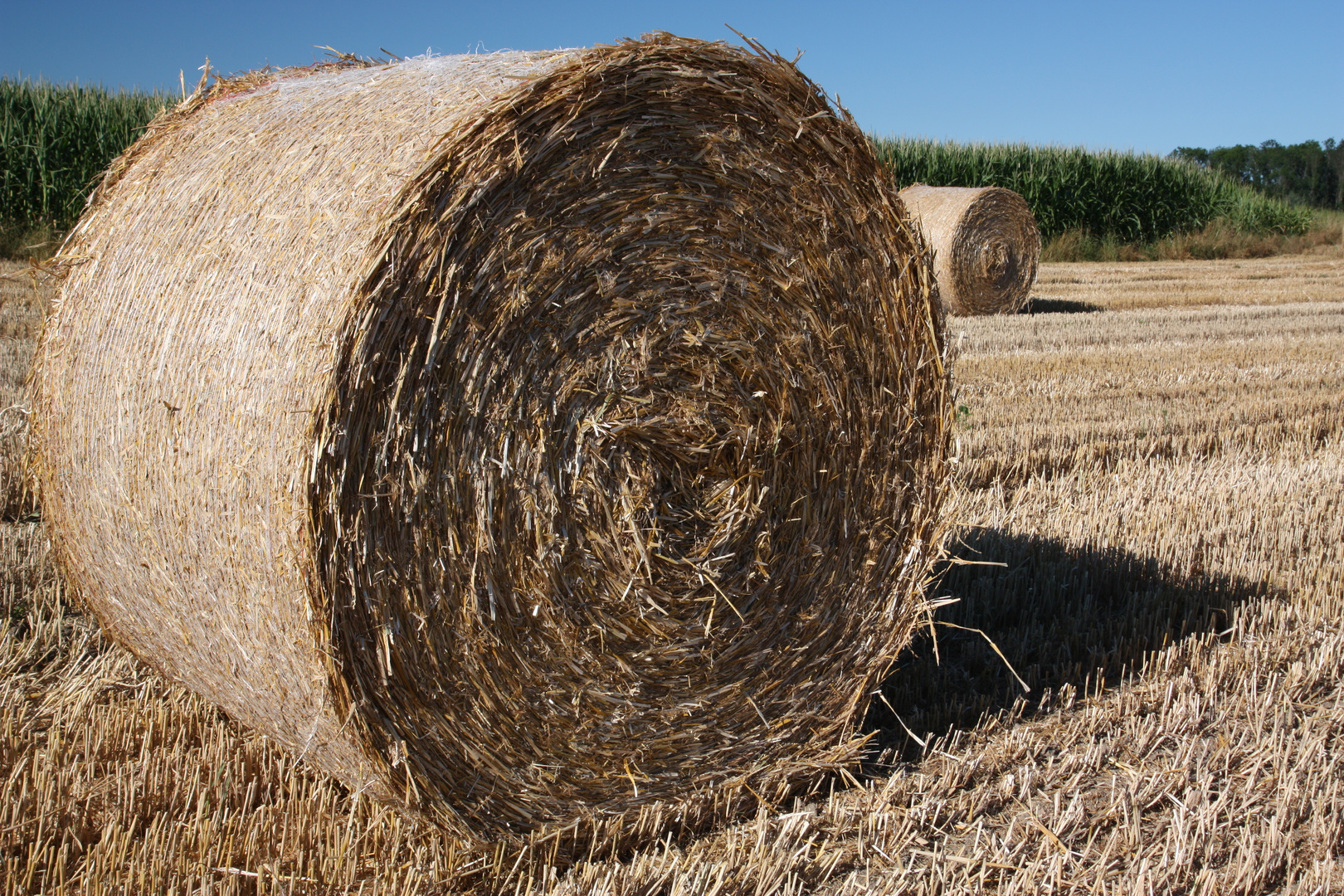 Strohballen im Hochsommer 2013