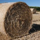 Strohballen im Hochsommer 2013