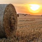 Strohballen im Morgenlicht