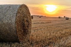 Strohballen im Morgenlicht