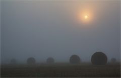 Strohballen im Morgennebel