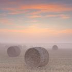 Strohballen im Nebel