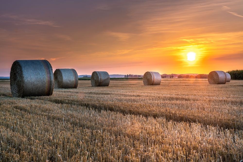 Strohballen im Sonnenuntergang