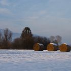Strohballen im Winter-2