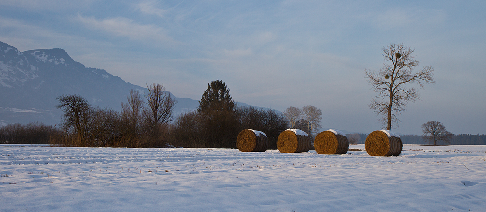 Strohballen im Winter-2