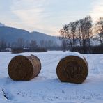 Strohballen im Winter