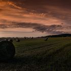 Strohballen in der Abendsonne