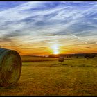 Strohballen in der Abendsonne