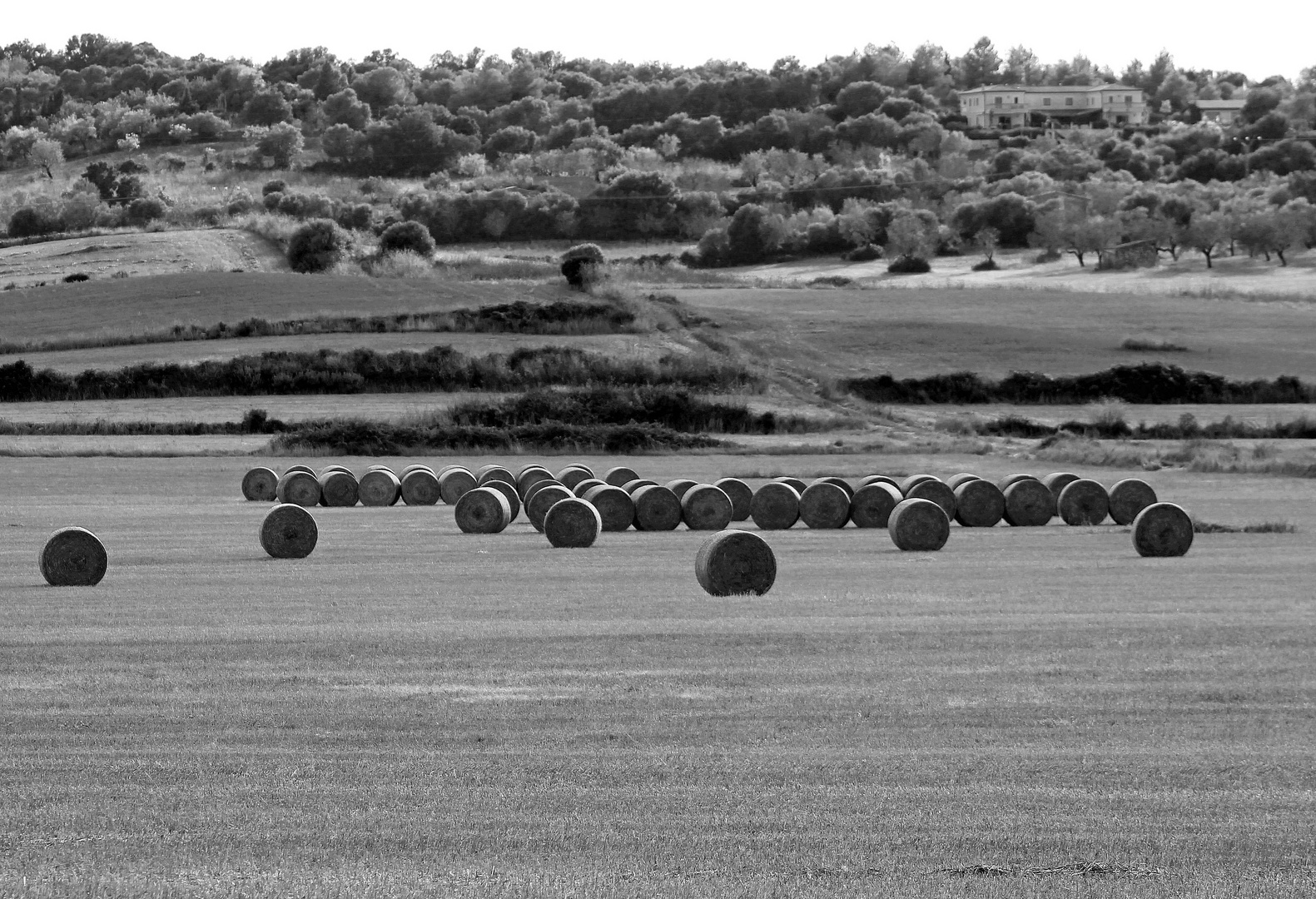 Strohballen. Manacor