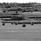 Strohballen. Manacor