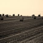 Strohballen nach der Ernte