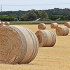 Strohballen/ -rollen