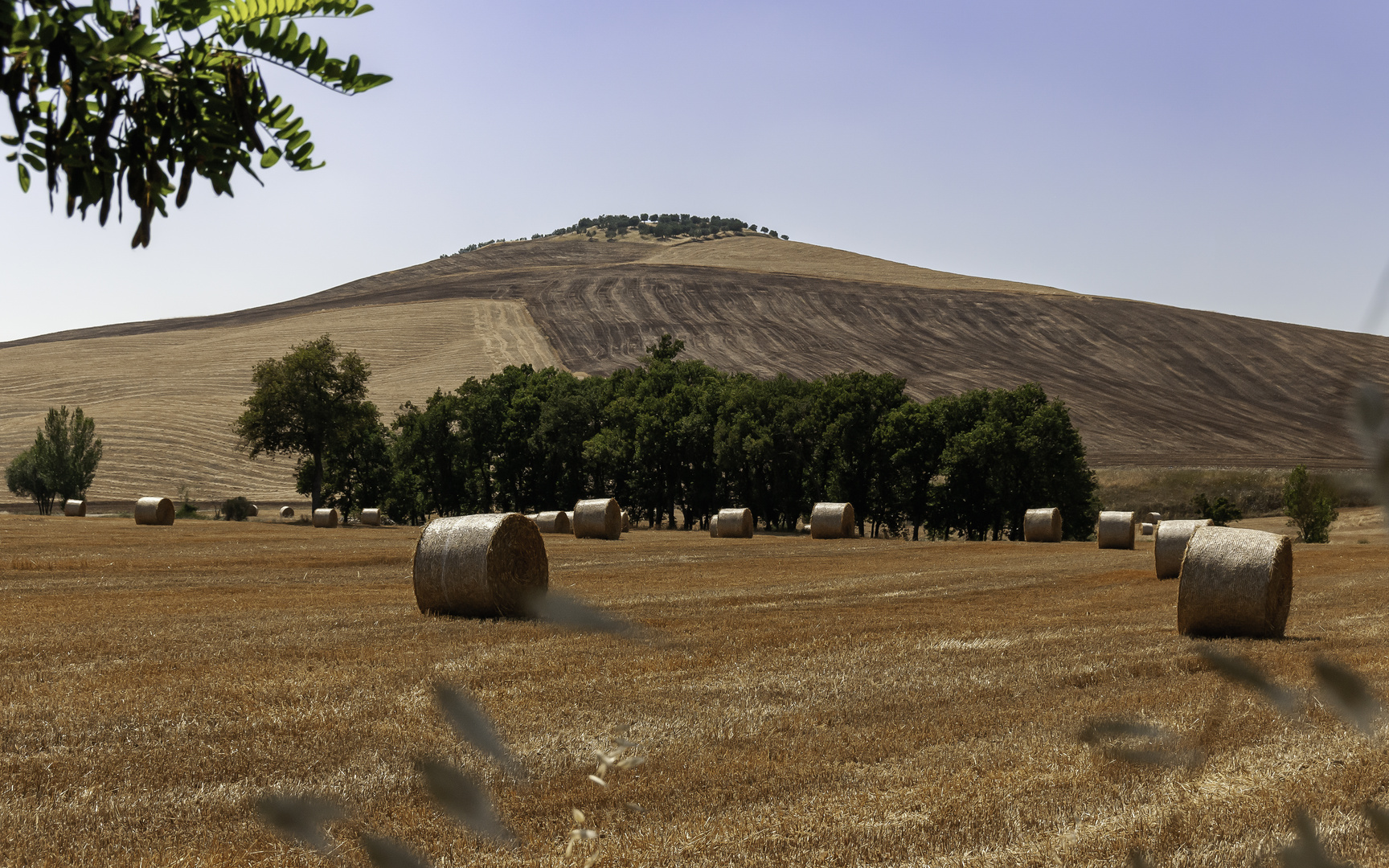 Strohballen und Ackerfurchen