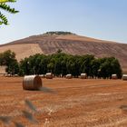 Strohballen und Ackerfurchen